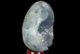 Crystal Filled Celestine (Celestite) Egg Geode - Madagascar #98810-2